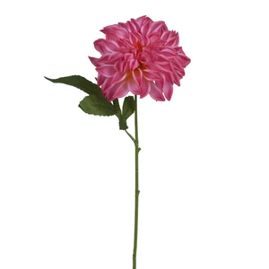 Dahlia Artificial Stem 67cm - Fuchsia