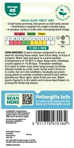 Dahlia Black Forest Ruby - image 2