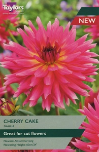 Dahlia Cherry Cake
