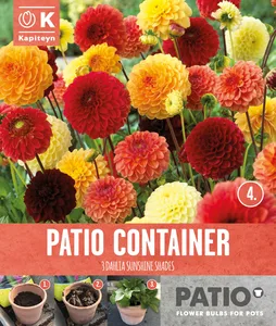 Dahlia Sunshine Shades