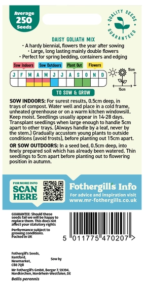 Daisy Goliath Mixed - image 2
