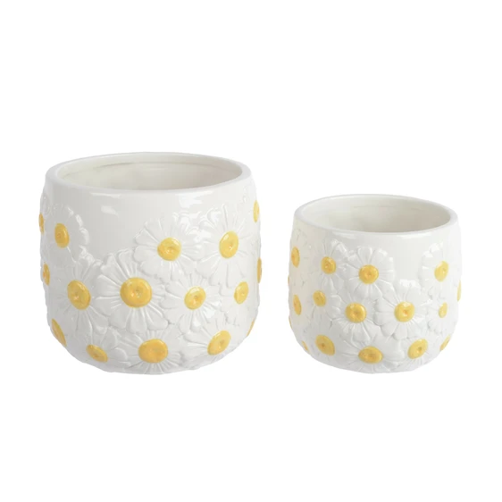 Daisy Patterned Indoor Planter Set