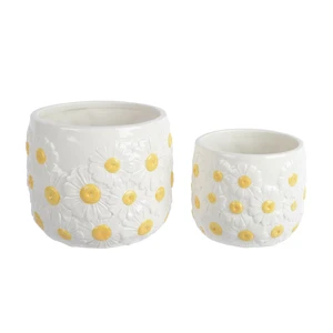 Daisy Patterned Indoor Planter Set