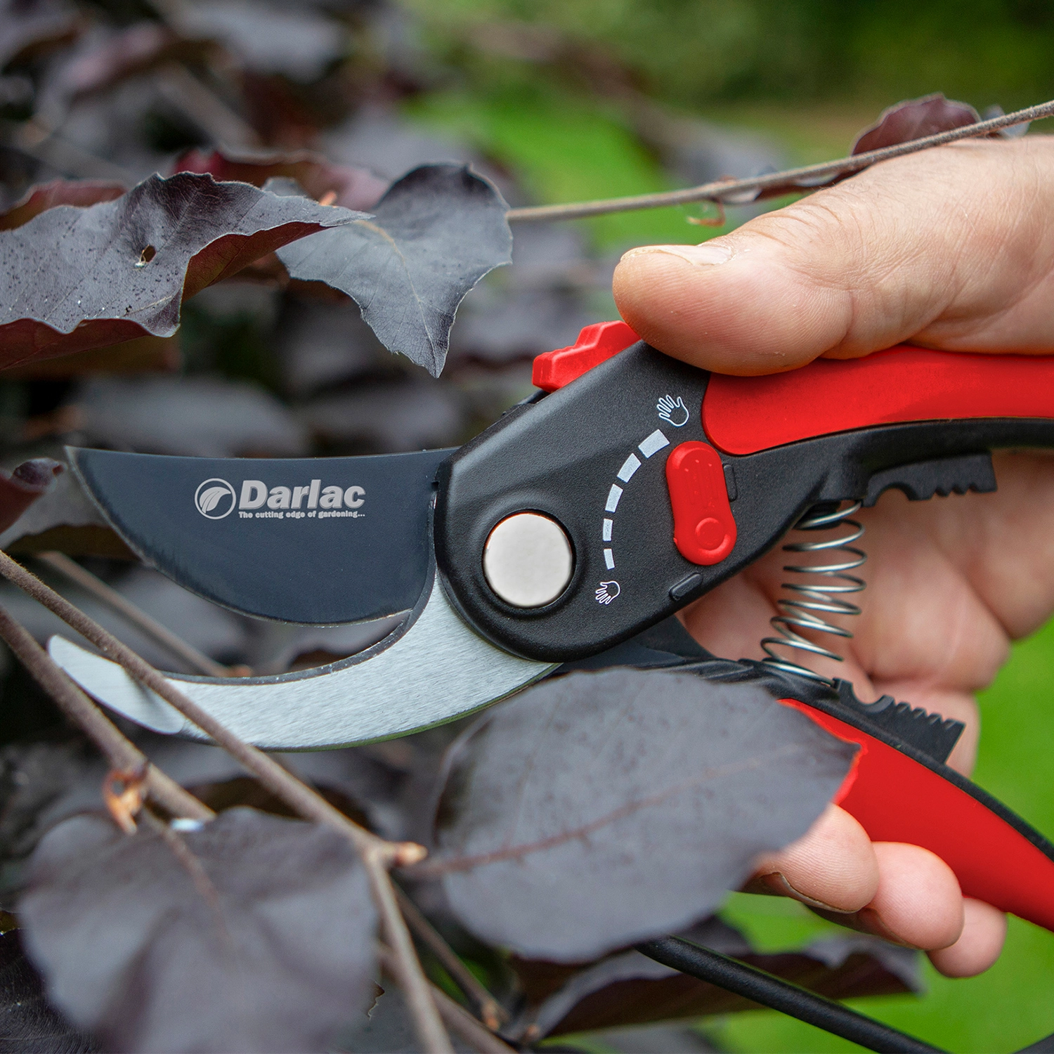 Darlac Compact Bypass Pruner main image 1