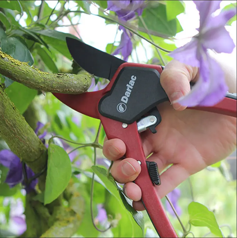 Darlac Classic Ratchet Pruner Cowell's Garden Centre Woolsington