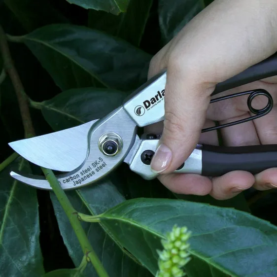 Darlac Compact Pruner - image 1