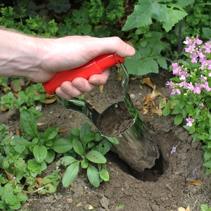 Darlac Hand Bulb Planter