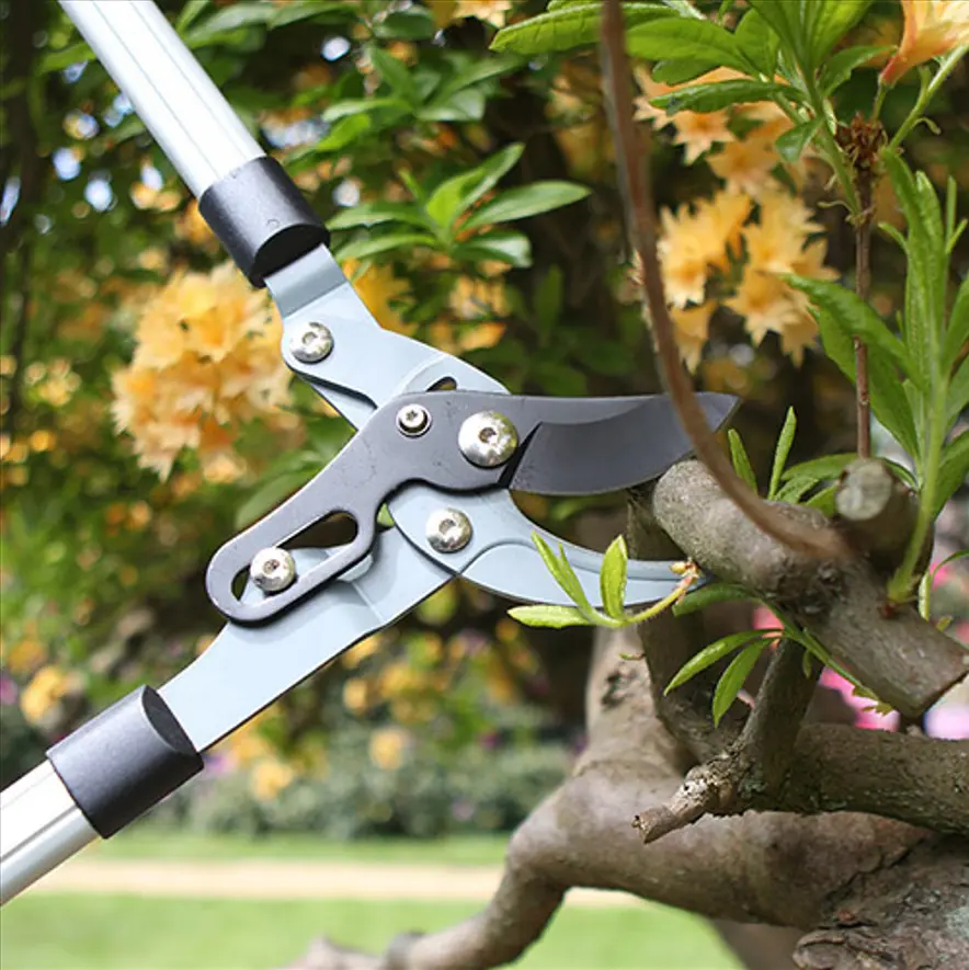 Heavy duty bypass loppers deals