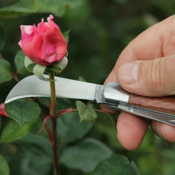 Darlac Pruning and Budding Knife - image 1
