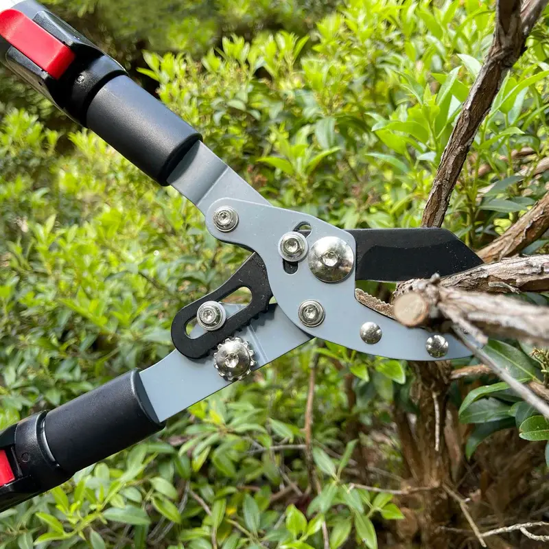 Darlac Telescopic Anvil Lopper Cowell's Garden Centre Woolsington