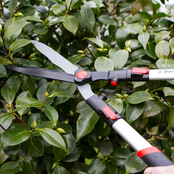 Darlac Telescopic Hedge Shear - image 1