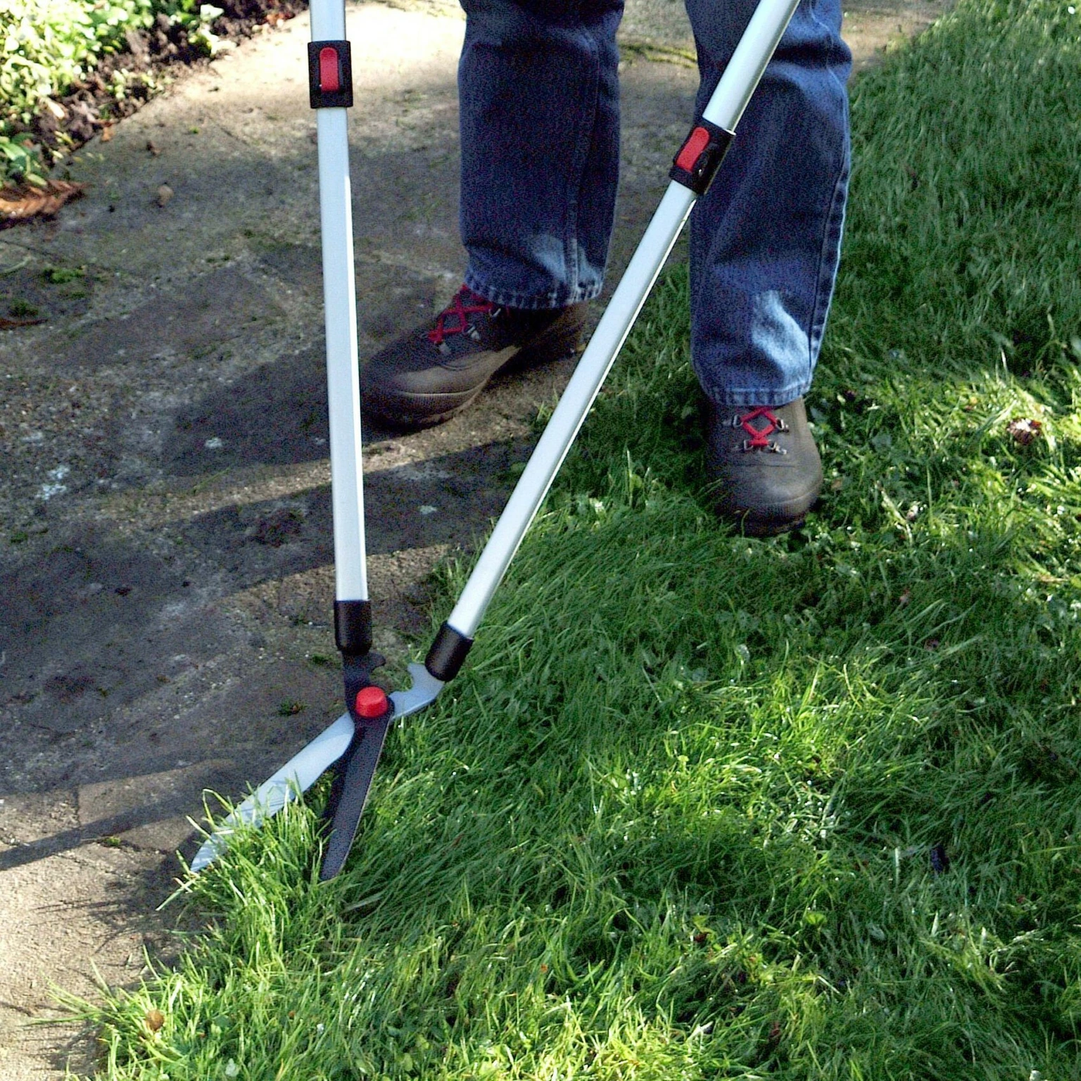 Darlac Telescopic Lawn Shear Cowell's Garden Centre Woolsington