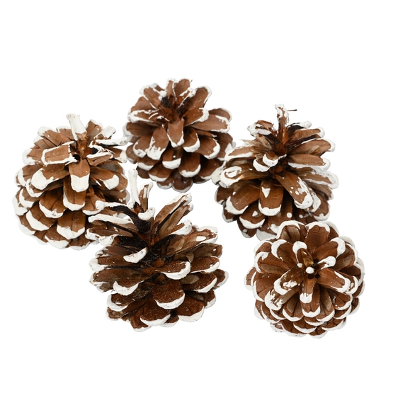 Decorative Frosted Pinecone Pack - Small Cones