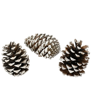 Decorative Frosted Pinecone Pack - Large Cones