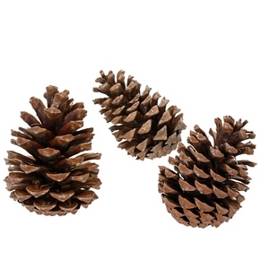 Decorative Pinecone Pack - Large Cones