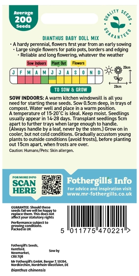 Dianthus Baby Doll Mixed Seeds - image 2