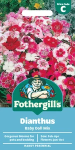 Dianthus Baby Doll Mixed Seeds - image 1