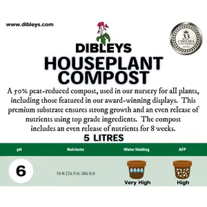 Dibleys Houseplant Compost 5L