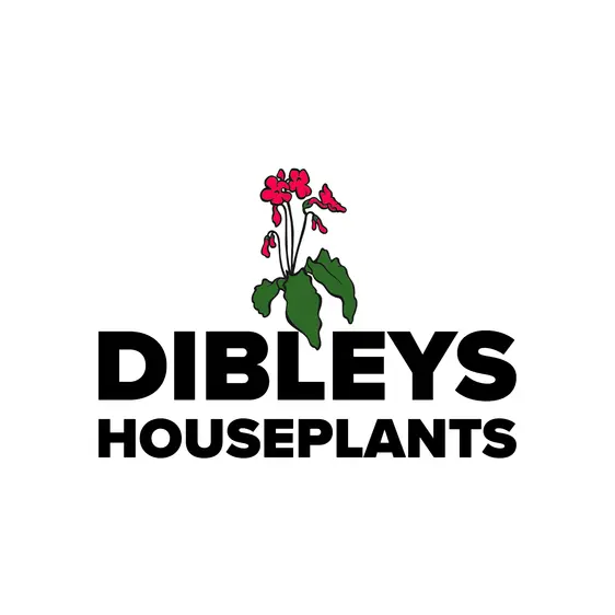 Dibleys Houseplant Compost 5L - image 3
