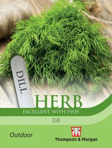 Dill - image 1