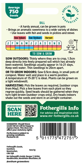 Dill Seeds - image 2