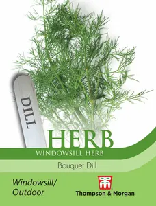 Dill Bouquet - image 1