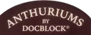 DocBlock