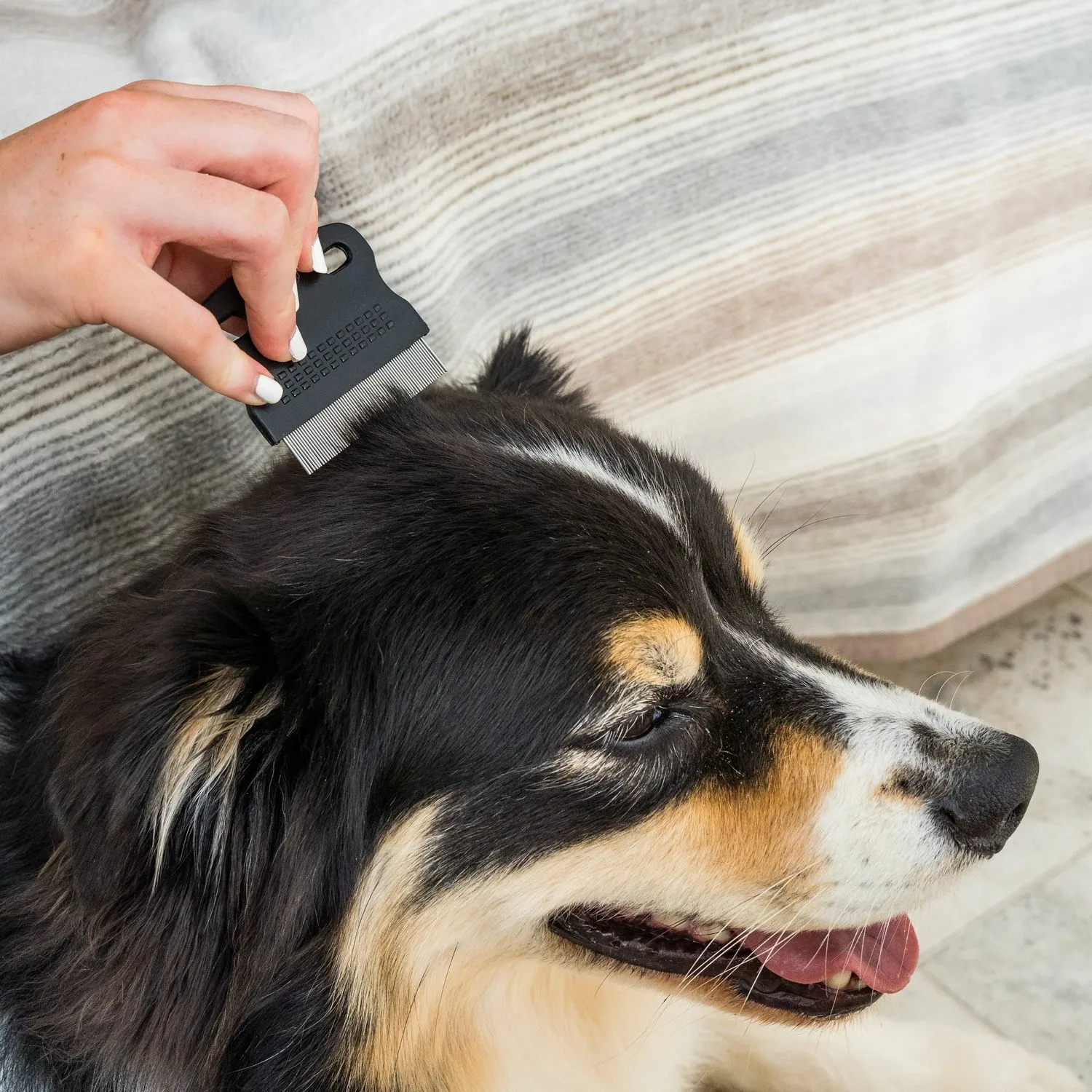 Dog Flea Comb Cowell's Garden Centre Woolsington