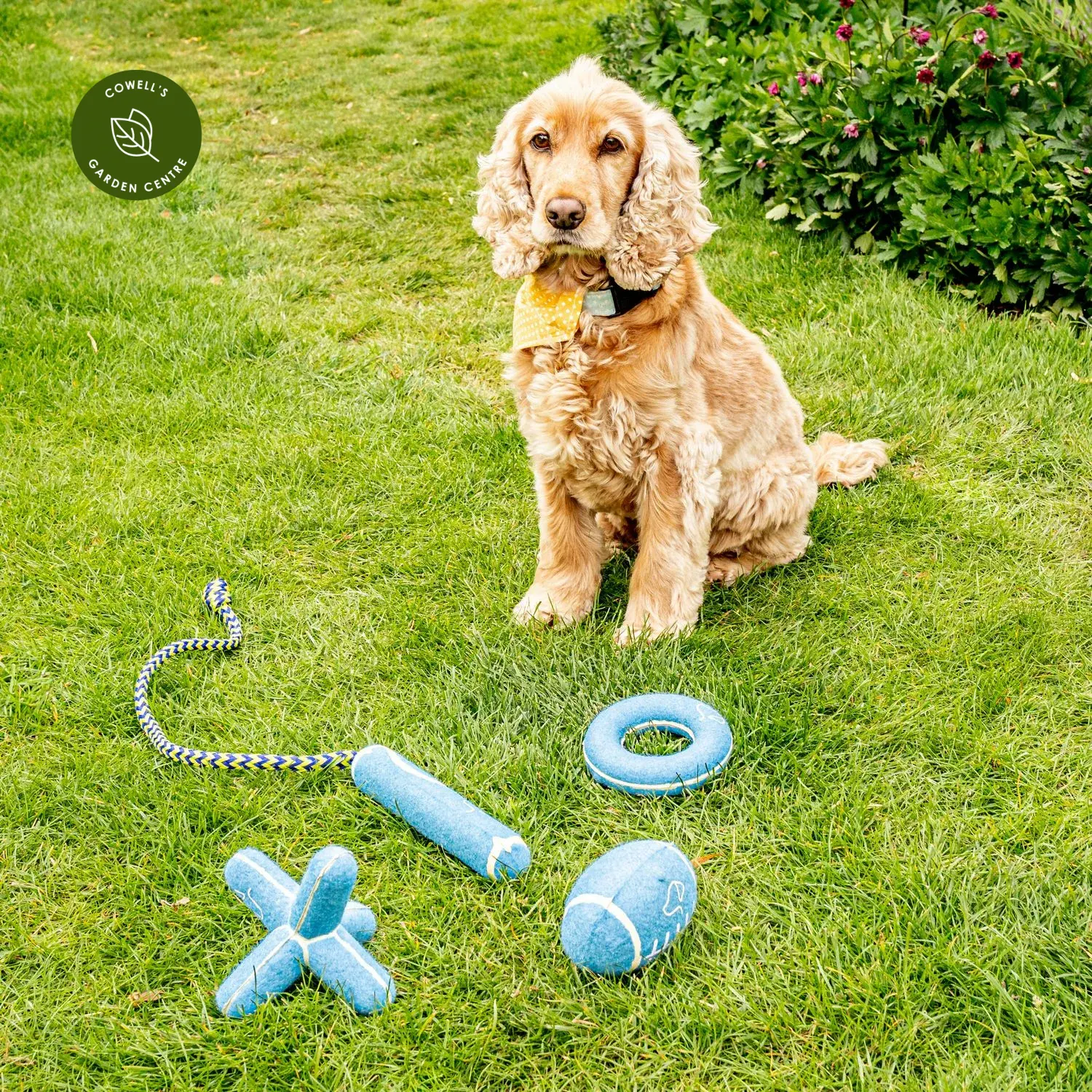 Dog toys for the garden 2025