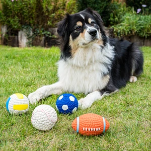 Dog Squeaking Sports Ball - Small - image 1