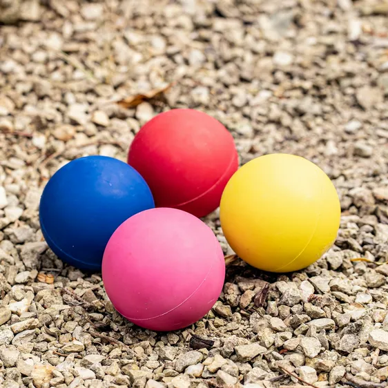 Dog Throw & Fetch Rubber Ball