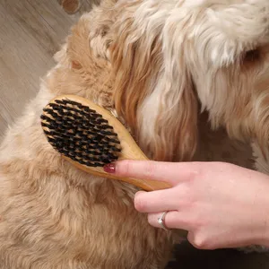 Double Sided Dog Brush - image 1