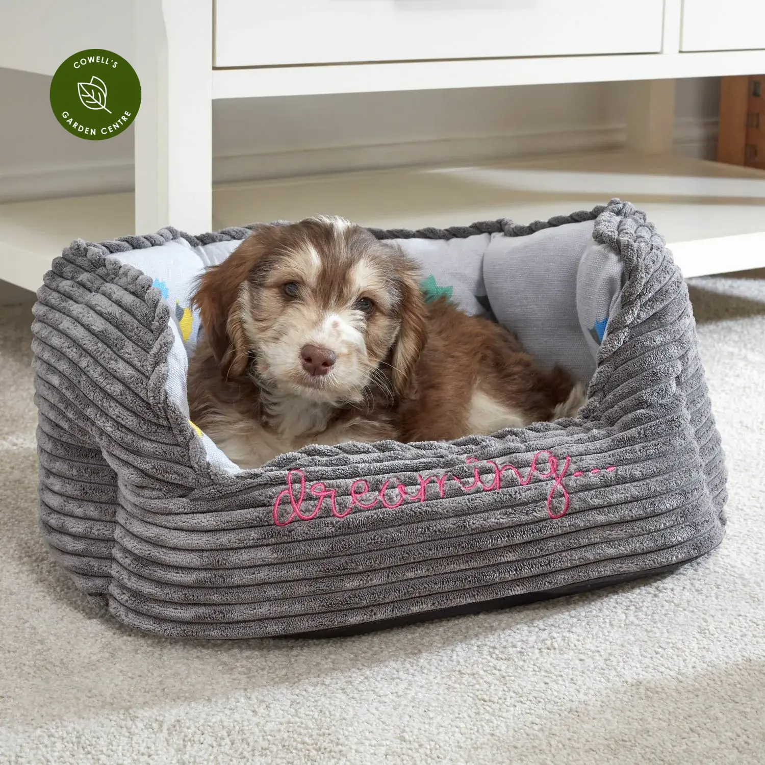 Oval bolster dog clearance bed