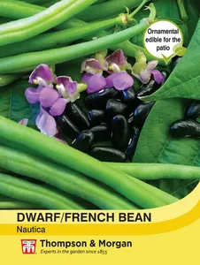 Dwarf Bean Nautica - image 1