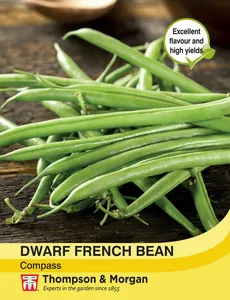 Dwarf French Bean Compass - image 1
