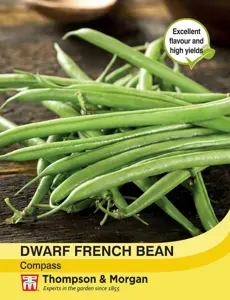 Dwarf French Bean Compass