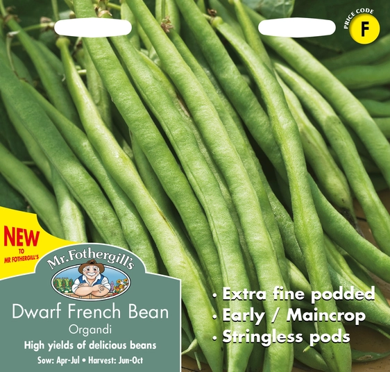 Dwarf French Bean Organdi - image 1
