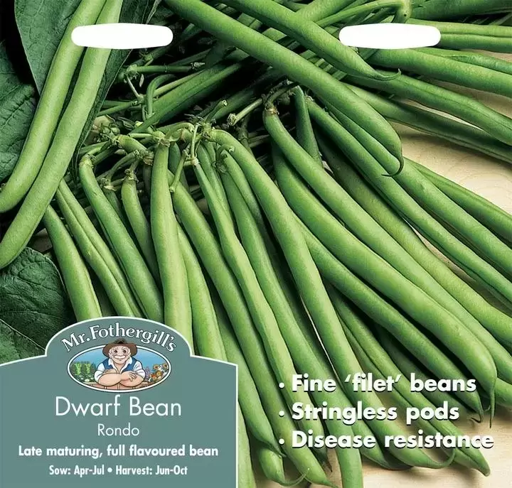 Dwarf French Bean Rondo Cowell's Garden Centre Woolsington