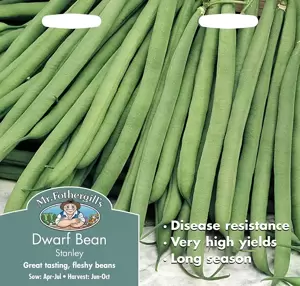 Dwarf French Bean Stanley - image 1