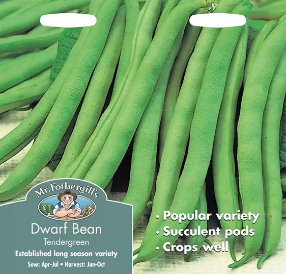 Dwarf French Bean Tendergreen - image 1