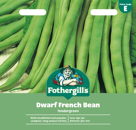 Dwarf French Bean Tendergreen Seeds