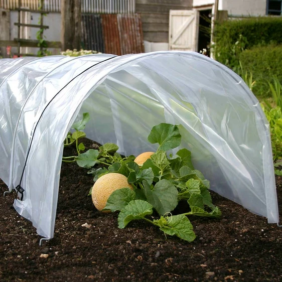Easy Polytunnel - Giant - image 3