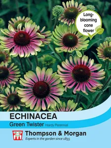 Echinacea Green Twister - image 1