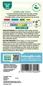 Echinops Globe Thistle Seeds - image 2