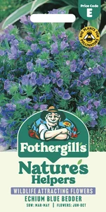 Echium Blue Bedder Seeds - image 1