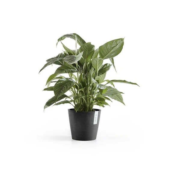 Ecopots Amsterdam - Black 20cm - image 2