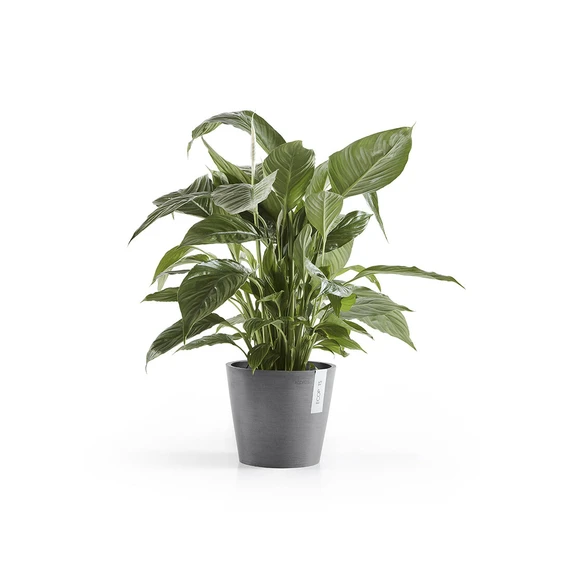 Ecopots Amsterdam - Grey 40cm - Cowell's Garden Centre | Woolsington