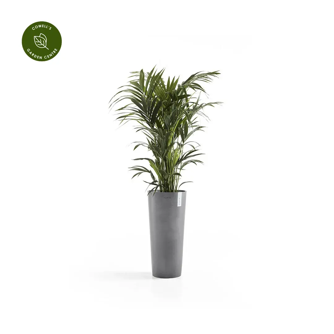 Ecopots Amsterdam High - Grey 70cm - Cowell's Garden Centre | Woolsington