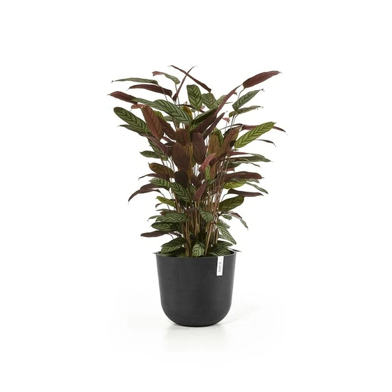 Ecopots Oslo - Black 45cm - image 3