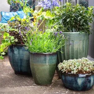 Eden Midnight Blue Bowl Planter Ø24cm - image 3